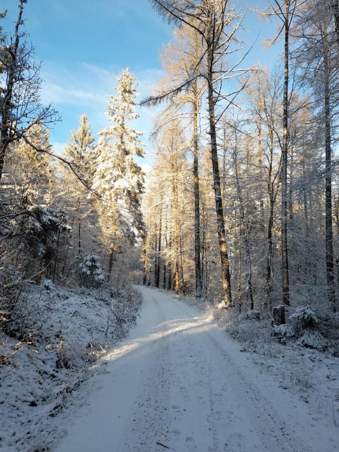 Fraenkische Linie - Radspitz-Ferienwohnungen Marktrodach Esterno foto